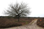 Sallandse Heuvelrug